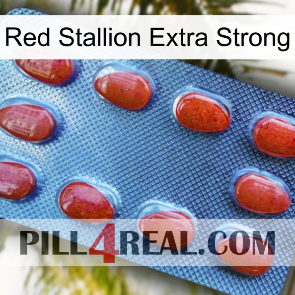 Red Stallion Extra Strong 06.jpg